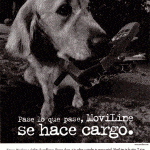 Servicio total de MoviLine