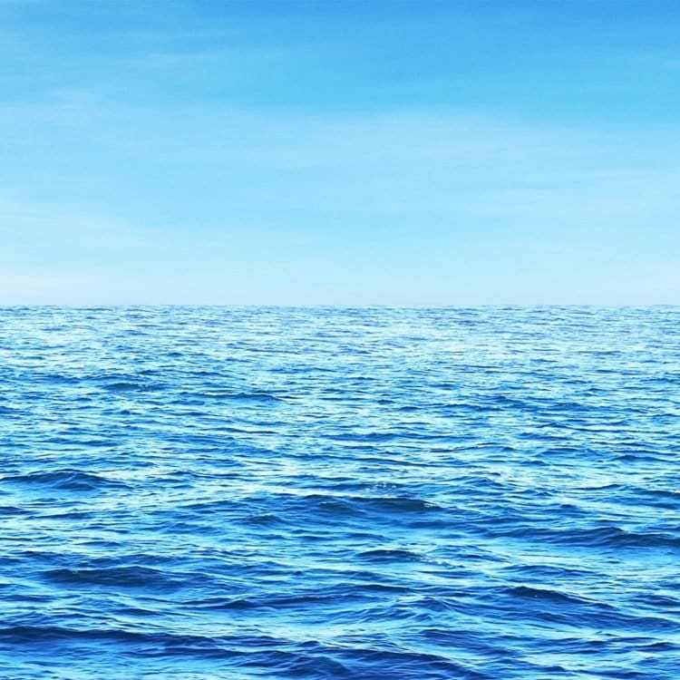 límite de datos móviles