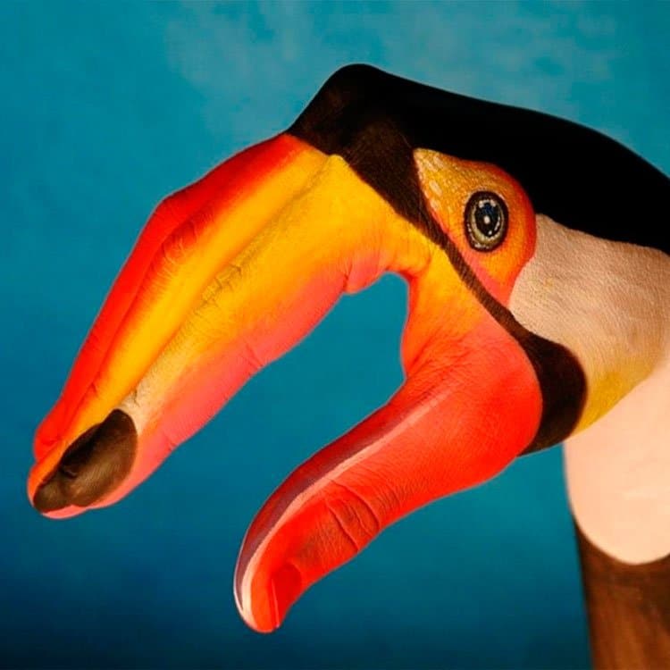Tucán de Orange oferta de verano