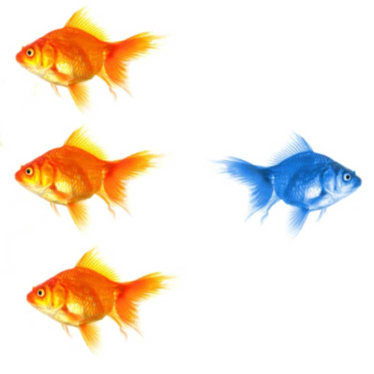 roaming de DIGI mobil