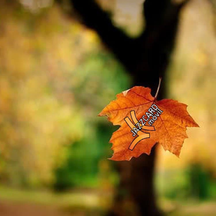 cierre de Jazzcard Móvil