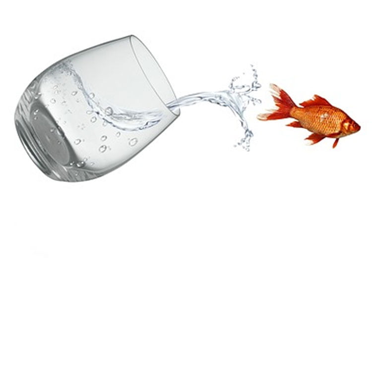 tarifas de FreedomPop