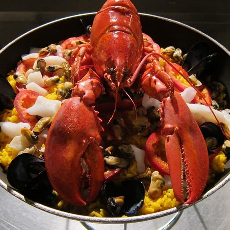 nuevas tarifas móviles de Lobster